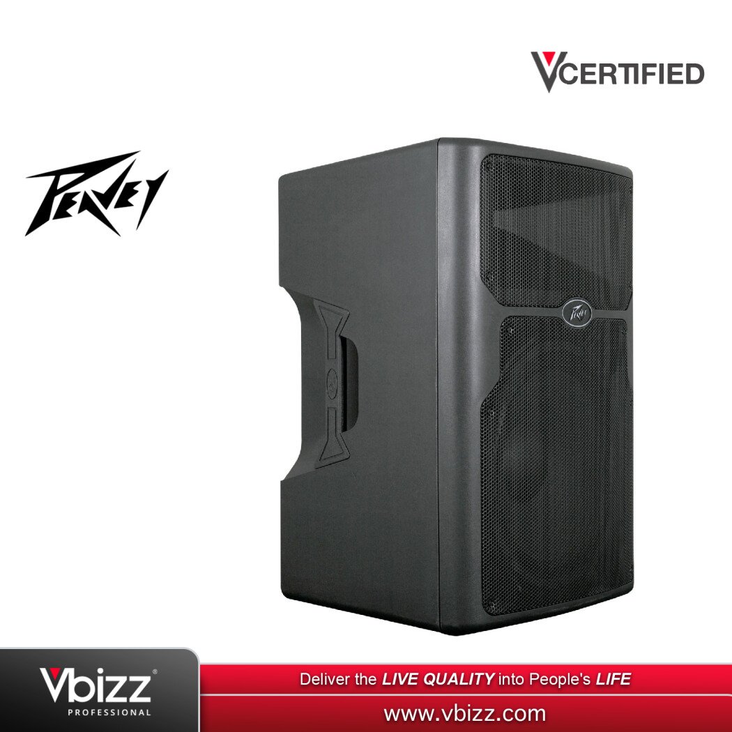 佐渡宿泊素泊まり　Peavey PR15 スピーカー 　国内希少 Peavey-PVXP15-(1)