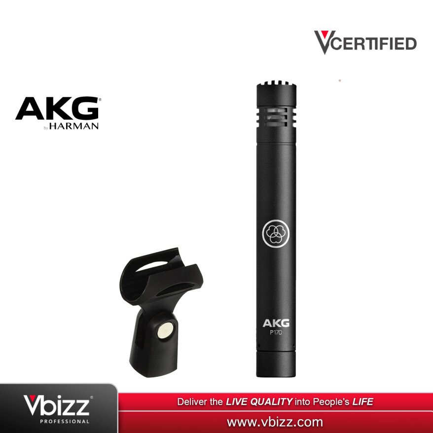 AKG p17(p170のセットバージョン) AKG p17(p170のセットバージョン) P170 | High-performance